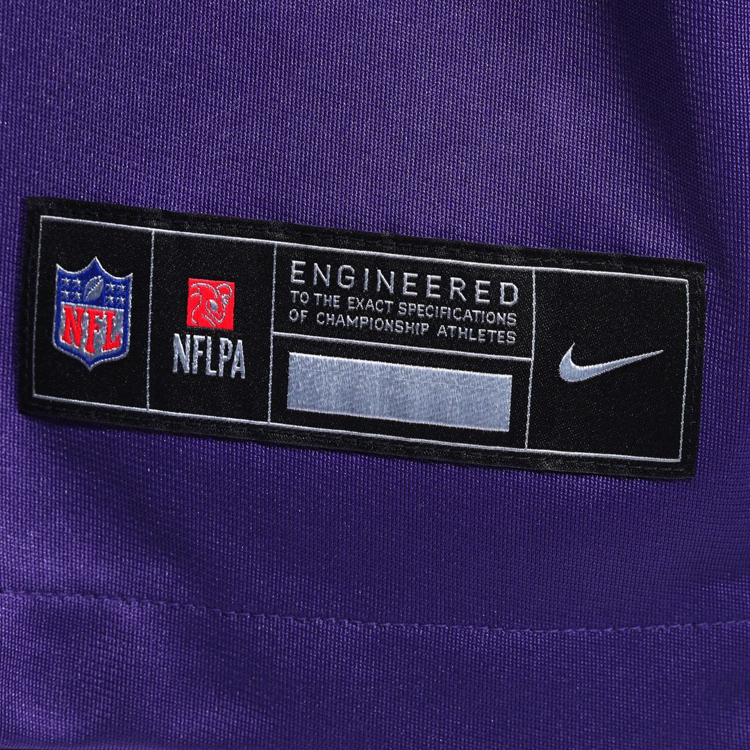 Ryan Van Demark Minnesota Vikings Nike Team Game Jersey - Purple