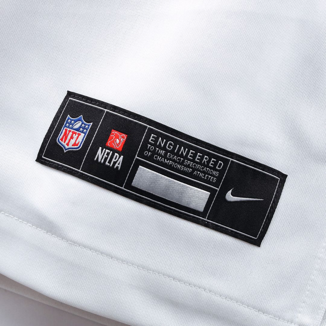 Sean Taylor Washington Commanders Nike Hail Raiser Alternate Retired Player Game Jersey - Black